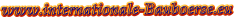 www.internationale-Bauboerse.eu